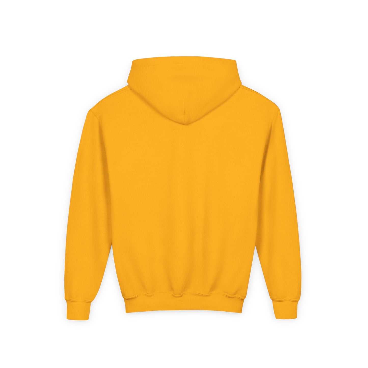 Youth Heavy Blend Hooded Sweatshirt - Tiny Raur, Cute Dino