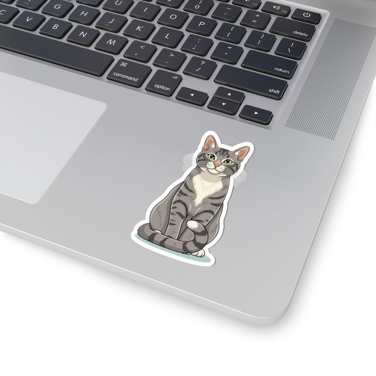 Kiss-Cut Stickers - Maine coon cat