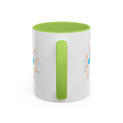 Accent Coffee Mug - Super kiddo hand washing steps - [[{"value":"Wonderwear Kid"}]]