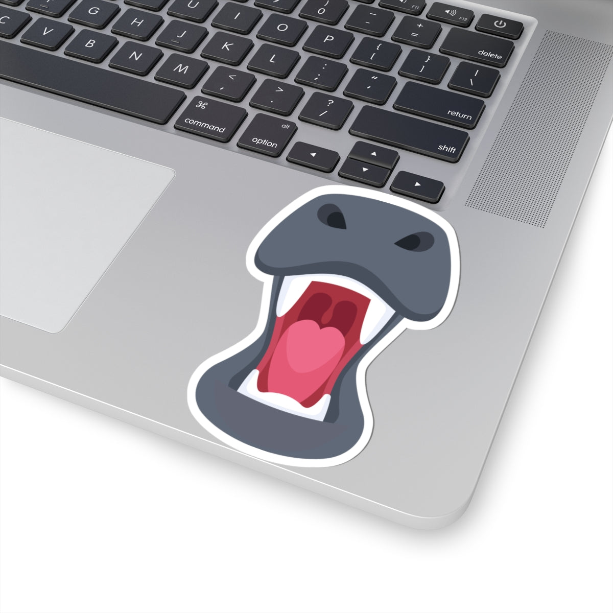 Rhinos face