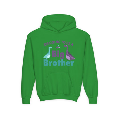 Kids Big Brother Dinosaur Hoodie Printify