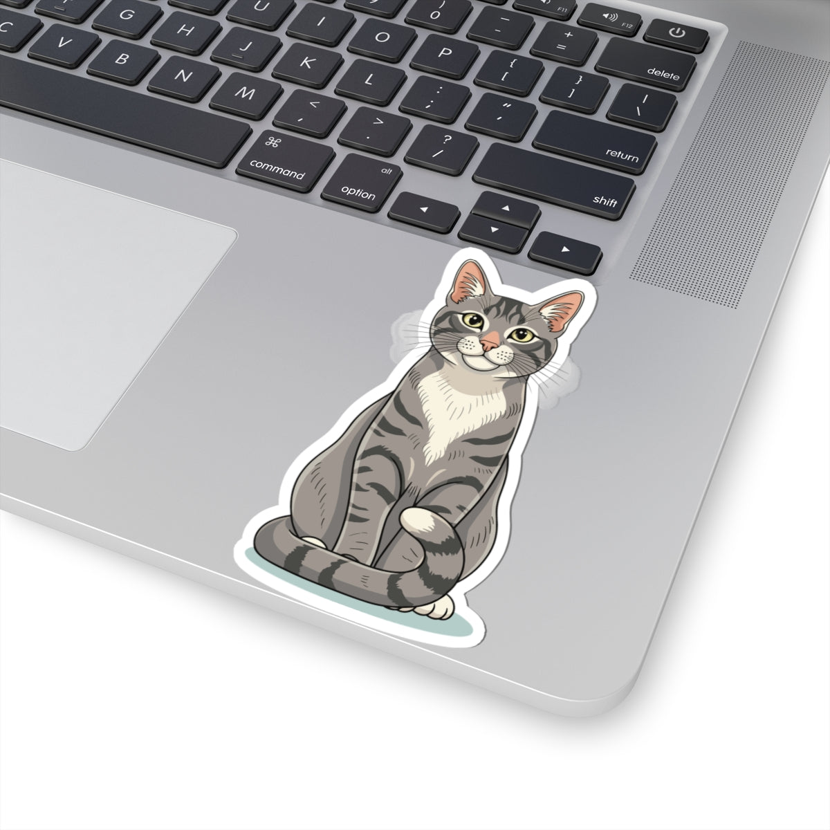 Kiss-Cut Stickers - Maine coon cat