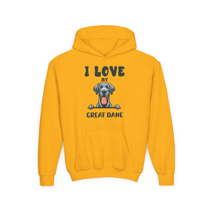 Youth Heavy Blend Hooded Sweatshirt - I love my Great Dane Printify
