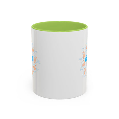Accent Coffee Mug - Super kiddo hand washing steps - [[{"value":"Wonderwear Kid"}]]